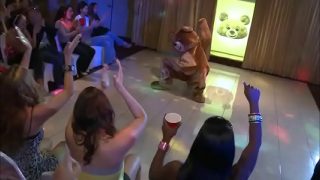 Are dancing bear parties real
