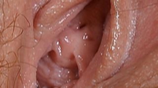 Close up of a vagina
