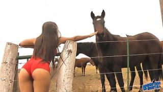 Girl sucking horse cock