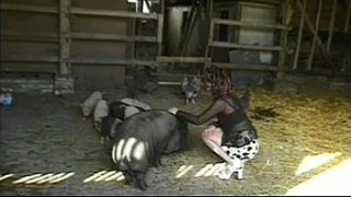 Sex on the farm video