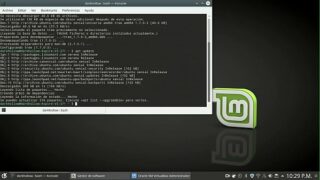 X videoservicethief linux ubuntu frgayee