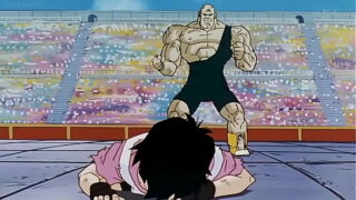 Videl