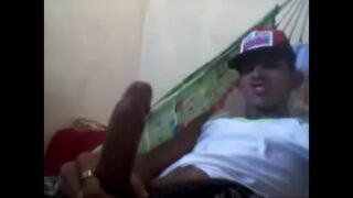 Aconpanhantes pg gays