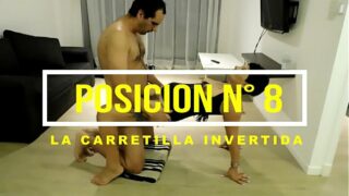 Travesti perla