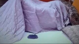 BBB 2022 transando