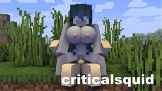 Minecraft transformers