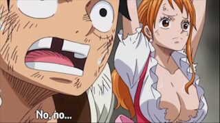 One piece nami and robin