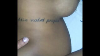 Pinto dotado