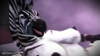 Sexo entre zebras