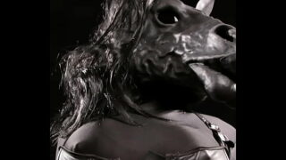 Furry dragon & horse doktor