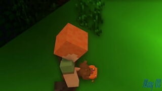 Minecraft 5