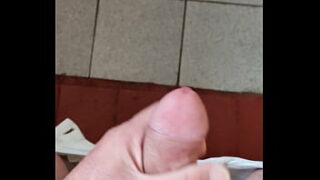 Pimenta doce botano