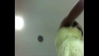 Vídeo do pintinho amarelinho maua