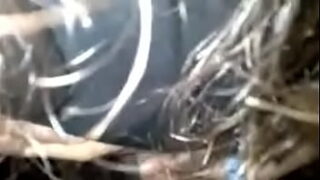 Search nippydrive mp4