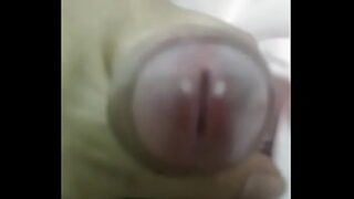 Koala lakol vk