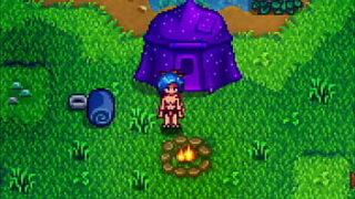 Melon stardew valley