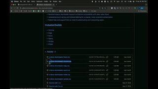 Browser vpn