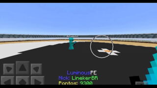 Mincraft pvp
